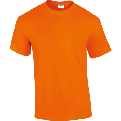 Afbeelding van Fruit of the Loom Ladies` Ringspun Premium T Zinc M