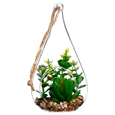 Afbeelding van Decoratieve plant Atmosphera 10 x 19,5 cm Kristal Groen