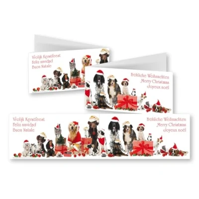 Afbeelding van Edition Colibri 11156 grappige XL kerstkaarten in panorama formaat set met enveloppen: 42 cm brede vouwkaarten dieren (honden en katten)