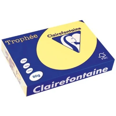 Afbeelding van Kopieerpapier Trophee A4 80gr citroengeel 500vel