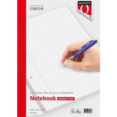 Afbeelding van Cursusblok Quantore A4 80gram ruit 5mm met kantlijn+
