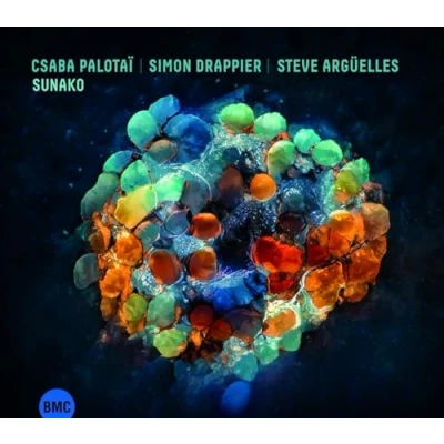 Afbeelding van Csaba Palotai, Simon Drappier, Steve Arguelles Sunako (CD)
