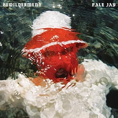 Afbeelding van Pale Jay Bewilderment (CD)