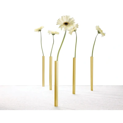Afbeelding van Peleg Design Vaas Magnetic Set Van 5 Goud 26x2cm