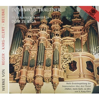 Afbeelding van An Der Wlcker Orgel Im Dom Zu Riga