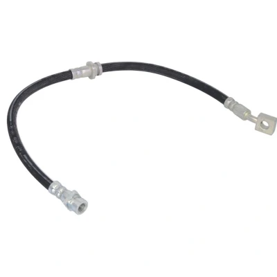 Afbeelding van Delphi Diesel Remslang LH6224