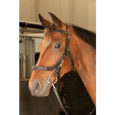 Afbeelding van Harry&#039;s Horse Kaptoom hoofdstel Leder Anatomic