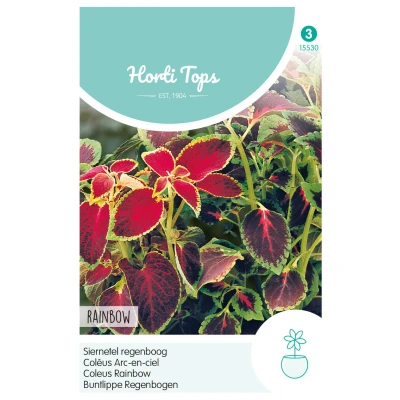 Afbeelding van Coleus, Siernetel regenboogmengsel