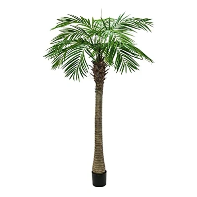Afbeelding van Europalms Phoenix palmboom luxor, 150cm