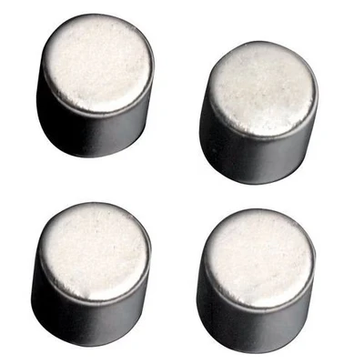 Afbeelding van Naga magneet voor glasborden, cilinder, 4 stuks