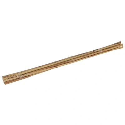 Afbeelding van Bamboestok 60cm 10 stuks