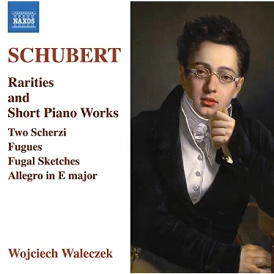 Afbeelding van Wojciech Waleczek Rarities And Short Piano Works (CD)