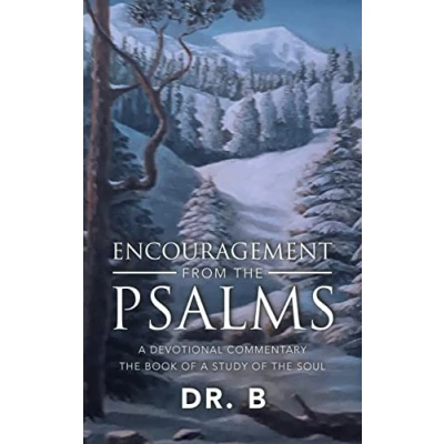 Afbeelding van Encouragement from the Psalms: A Devotional Commentary