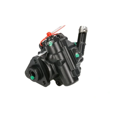 Afbeelding van Lauber Servopomp 55.4291