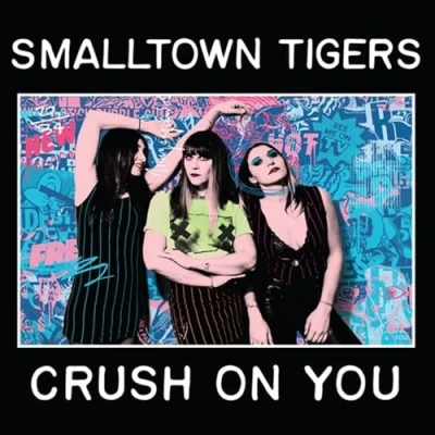 Afbeelding van Smalltown Tigers Crush On You (CD)