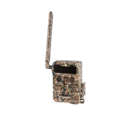 Afbeelding van PACK TRAIL camera PIE1067 + batterijen (x12) 32 GB SD kaart