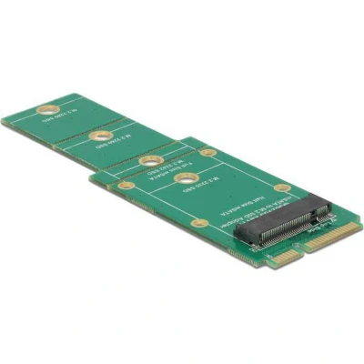 Afbeelding van MSATA naar M.2 NGFF adapter Delock