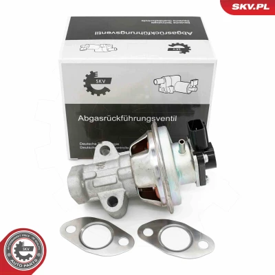 Afbeelding van ESEN SKV 14SKV262 EGR klep FORD: Ranger Mk2 (ER, EQ) 2.5 TDdi 4x4, TD D, D TD, 1999 2006
