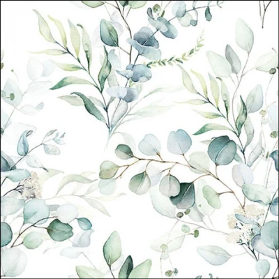 Afbeelding van Eucalyptus all over