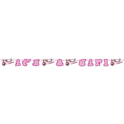 Afbeelding van Letterslinger It&#039;s a Girl Ooievaar