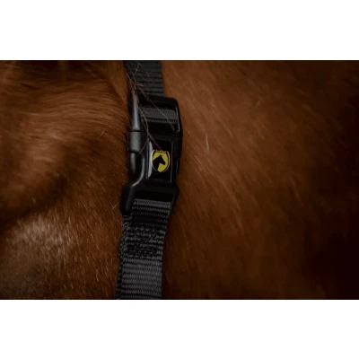 Afbeelding van Excellent Horse Superior Halster Mini Shet Zwart