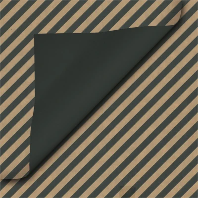 Afbeelding van Inpakpapier Special Wrap 200mx70cm kraft assorti