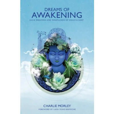 Afbeelding van Dreams of Awakening: Lucid Dreaming and Mindfulness Dream Sleep