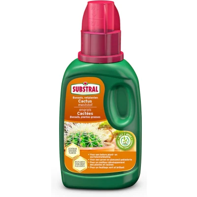 Afbeelding van Substral Cactus , Bonsai En Vetplantenmeststof 250ml
