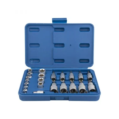 Afbeelding van Torx dop en bitsset 1/4&quot;+3/8&quot;