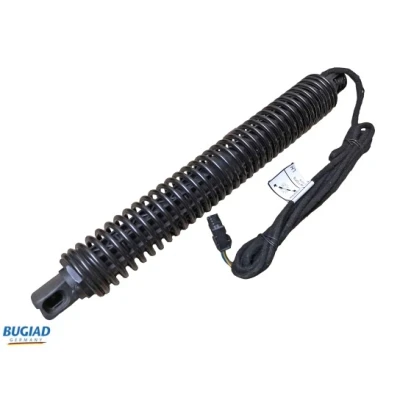 Afbeelding van Gasveer, bagageruimte BUGIAD BRD50709