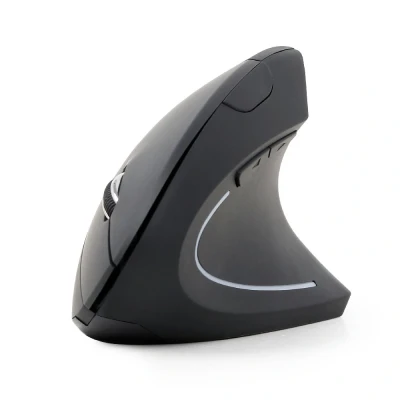 Afbeelding van Gembird MUSW ERGO 01 muis RF Draadloos Optisch 1600 DPI Rechtshandig