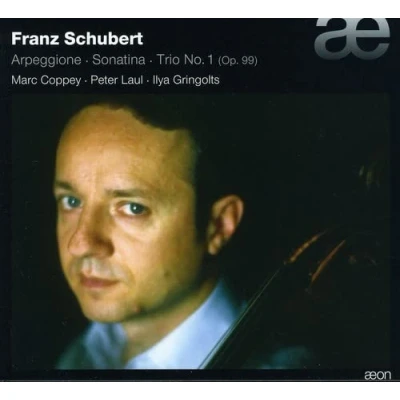 Afbeelding van Marc Coppey, Peter Laul, Ilya Gringolts Schubert: Arpeggione/Sonatina/Trio No. 1 (CD)