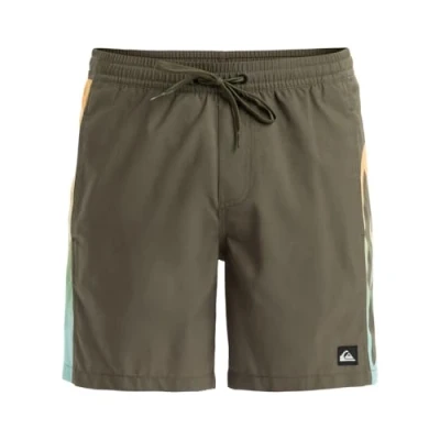 Afbeelding van Quiksilver Everyday Holmes 16 Zwemshorts, Heren, Maat: Large, Cre6