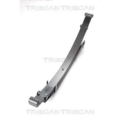 Afbeelding van Veerpakket TRISCAN 8765 42006