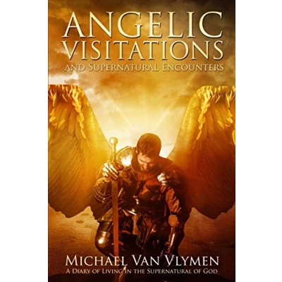Afbeelding van Angelic Visitations and Supernatural Encounters: A Diary of Living in the God