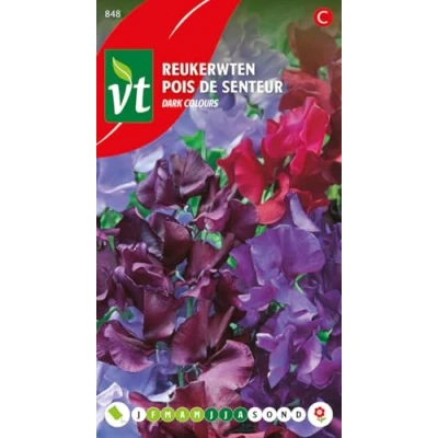 Afbeelding van Reukerwten Dark Colours, heerlijk geurende en sierlijke bloemen in mooie donkere kleuren