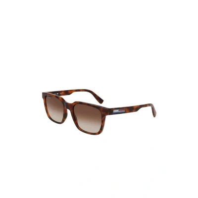 Afbeelding van Lacoste Zonnebril, Heren, Maat: 54, Havana