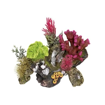 Afbeelding van Nobby Koraalsteen met planten, aquariumornamenten, 17 x 12,5 12 cm