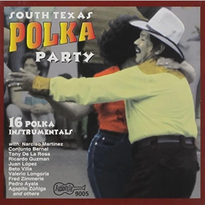 Afbeelding van Various Artists South Texas Polka Party (CD)
