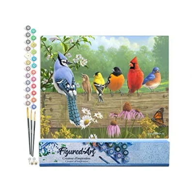 Afbeelding van Figured&#039;Art Schilderen op Nummer Volwassenen canvas Vogels een hek Handwerk acrylverf Kit DIY Compleet 40x50cm zonder frame
