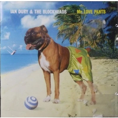 Afbeelding van IAN DURY&amp;THE BLOCKHEADS MR LOVE PAINTS
