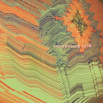 Afbeelding van Svin Introducing (LP)