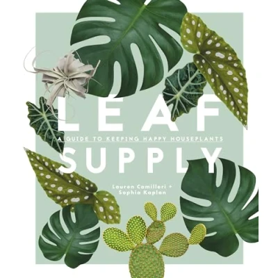 Afbeelding van Leaf Supply: A Guide to Keeping Happy House Plants