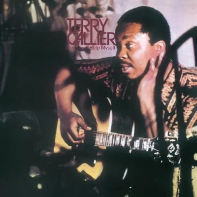 Afbeelding van Terry Callier I Just Can&#039;t Help Myself (LP) (Coloured Vinyl)