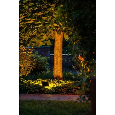 Afbeelding van Avior Buitenspot 12V