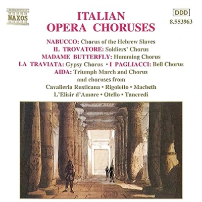 Afbeelding van Various Artists Italian Opera Chorus (CD)