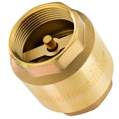 Afbeelding van Poppstar Terugslagklep 1 1/2 Inch (messing, roestvrij &amp; waterdicht) voor Pomp en Wasmachine