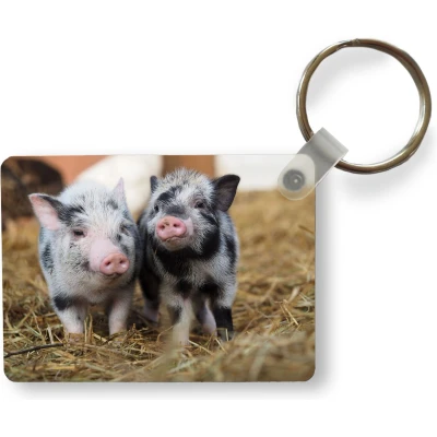 Afbeelding van Sleutelhanger Varken Dieren Varkentje Uitdeelcadeautjes Plastic