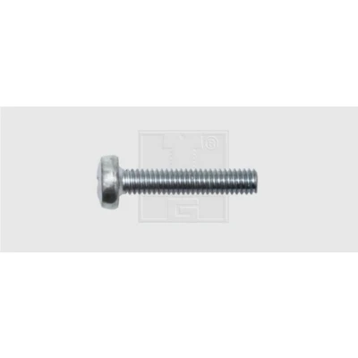 Afbeelding van SWG Tapschroef assortiment M4 10 mm Kruiskop Phillips DIN 7985 Staal Verzinkt 100 stuk(s)