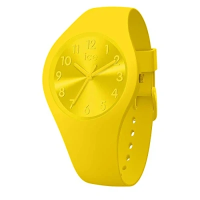 Afbeelding van Horloge Dames Ice IW017908 (Ø 36 mm)